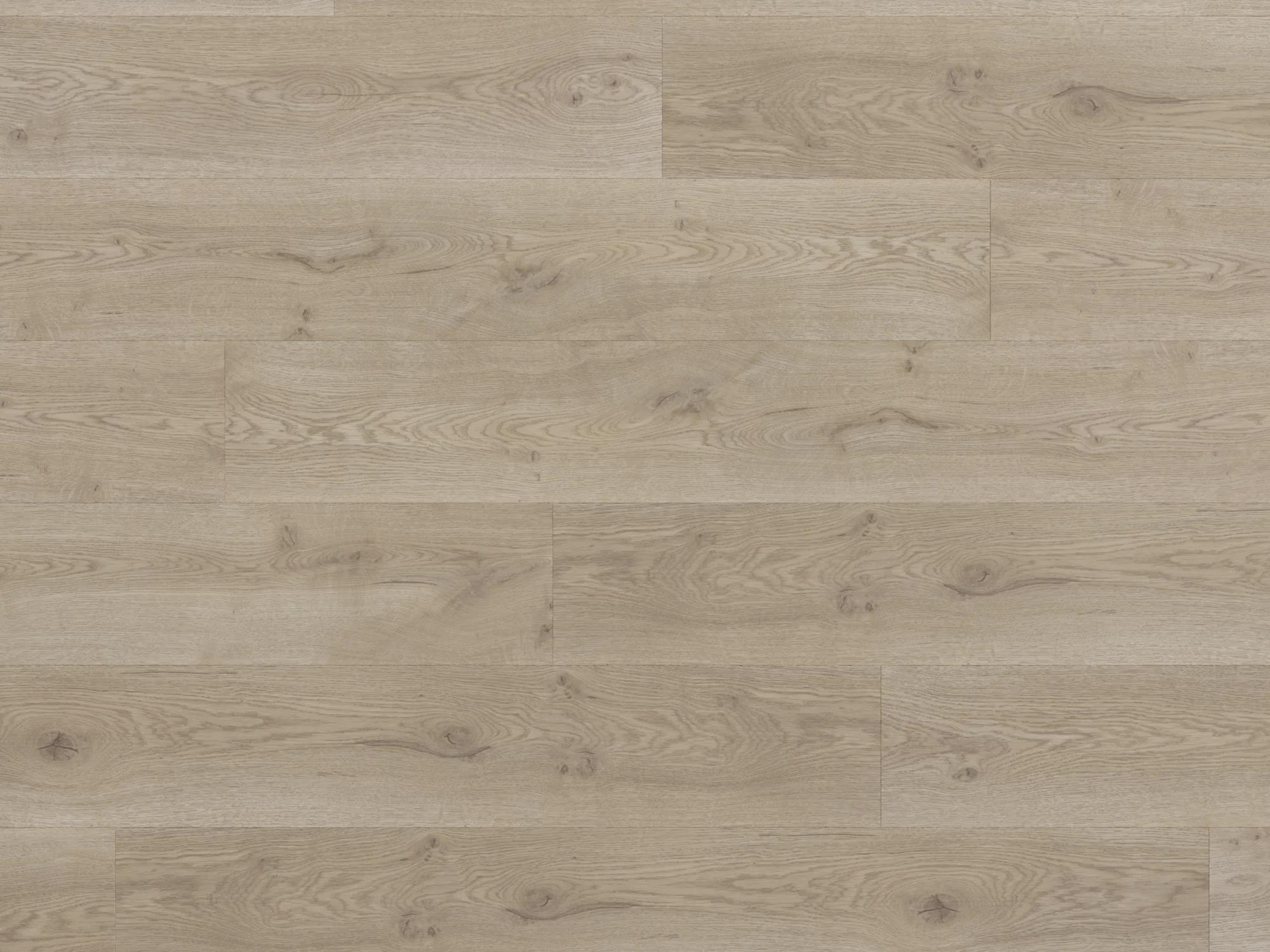 Дуб • Мадрид
